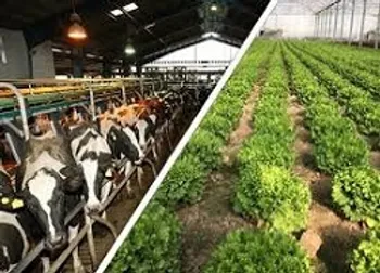 نوسان بیش از ۲۰ درصد قیمت در این نماد