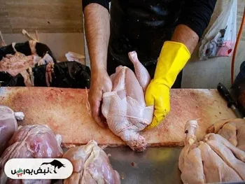 کاهش قیمت مرغ