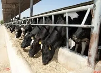 توقف نماد معاملاتی (زشگزا ۱)