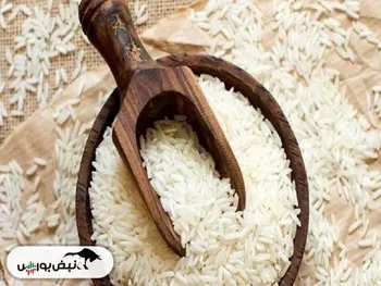 لیست قیمت جدید برنج ایرانی در بازار ۱۴۰۴/۰۸/۱۳