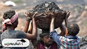 لغو محدودیت واردات کک هند