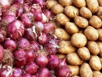 ذخیره سیب زمینی، پیاز و گوجه در کشور