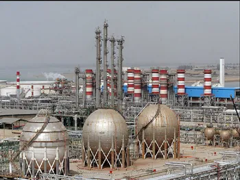 فروش بوعلی در ۱۱ ماه گذشته چگونه بود؟