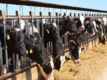 زمگسا برای سرمایه گذاری مناسب است؟