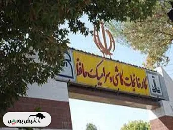 کدال کحافظ | درعملکرد ۱۲ ماهه چه کرد؟