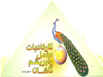 نمخمل در ۱ سال چقدر زیان شناسایی کرده است؟