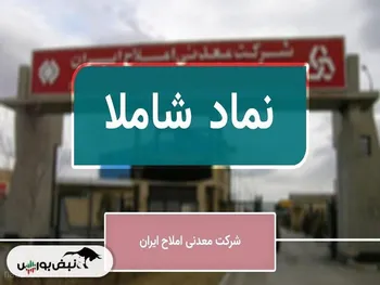 چرا فروش شاملا روند رو به رشدی دارد؟ | آیا وضعیت این شرکت، بهتر هم می‌شود؟