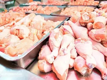 قیمت مرغ امروز چهارشنبه ۷ مرداد ۱۴۰۵