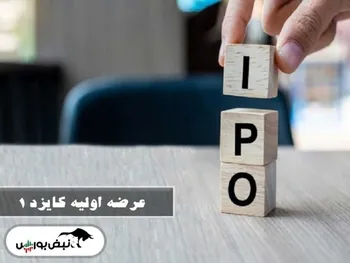 همه آنچه درباره کایزد باید بدانید| عرضه اولیه شرکت ۳۴.۳ میلیارد تومانی
