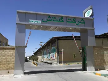 کارنامه ۹ ماهه شگل منتشر شد