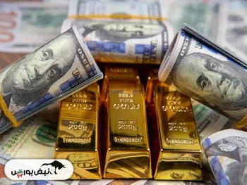 تغییر روند حباب این دو سکه | روش سرمایه گذاری و توصیه مهم کارشناس بازارهای مالی برای خرید طلا | سخنرانی کدام اقتصاددانان بر بازارهای مالی تاثیر خواهد گذاشت؟