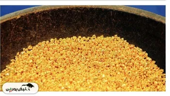 بازگشت محتاطانه طلا و نقره پس از نوسانات شدید