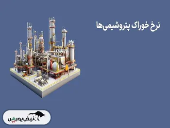 ماجرای نرخ جدید خوراک گاز پتروشیمی‌ها و سوخت صنایع چه بود؟