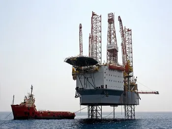 افشای اطلاعات باعث توقف این نماد شد