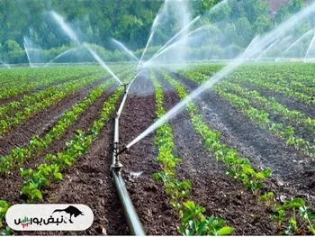 کاهش ۴۰ درصدی مصرف آب با فناورهای نوین آبیاری