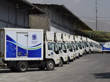 پخش افشای اطلاعات زد