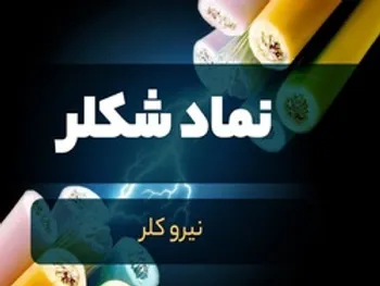 در مجمع شکلر چه گذشت؟ برنامه های آتی شکلر چیست؟ چقدر سود توزیع شد؟