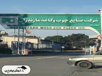کدال چکام | برای هر سهم چقدر سود داد؟