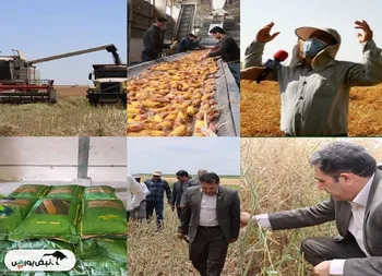 زپارس مجمع برگزار می کند