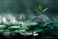 سود مجمع این ۲۷ نماد مشخص شد | سود مجامع هفته گذشته چه زمانی واریز می‌شود؟