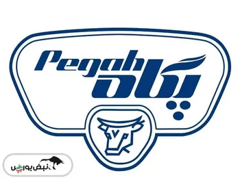 کدال غگلستا | میزان فروش ۱ ماهه چگونه بود؟