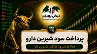 سود دشیری ۱۴۰۵ کی واریز می‌شود و چقدر است؟