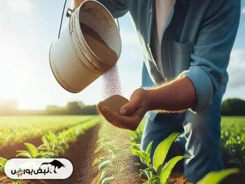 خبری مهم برای اوره | اعمال محدودیت بیشتر بر صادرات چین