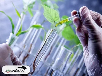 کشت بافت، دریچه‌ای به سمت توسعه اقتصاد کشاورزی