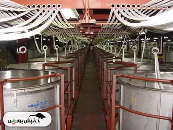 کدال شپلی | کاهش سود نسبت به سال قبل