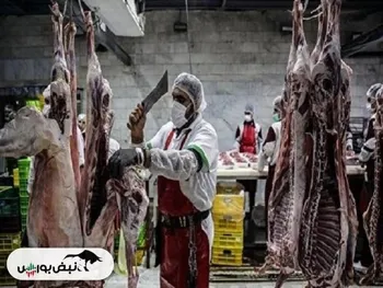 چراغ سبز بازار به کاهش قیمت گوشت