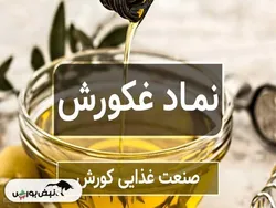 مدیریت ضعیف و هزینه های مالی، سود خالص غکورش را بلعید!