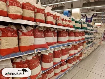 تصمیم جدید دولت درباره قیمت برنج خارجی