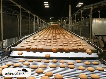 غیوان چرا بسته است؟ | کی بازگشایی می شود؟ | صدای سهامدار