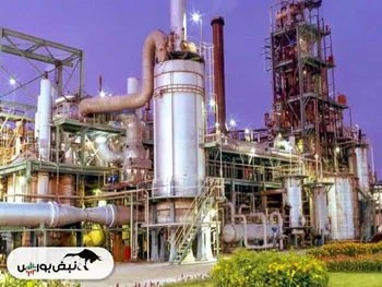 کدال شفارا | در عملکرد ۱۲ ماهه چگونه بود؟