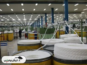 کدال نخریس | در عملکرد ۱۲ ماهه چقدر فروخت؟