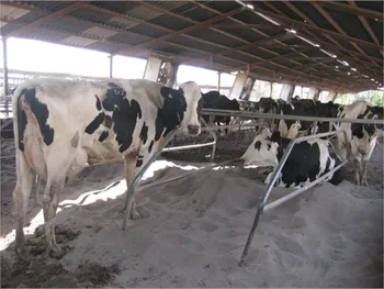 چرا تلیسه متوقف شد؟