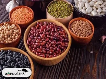 لیست قیمت برخی از حبوبات در بازار ۱۴۰۴/۱۱/۰۶