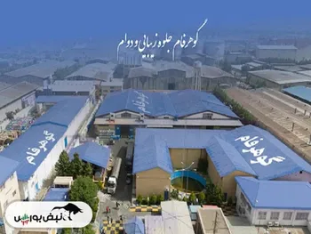 کدال شفام | عملکرد ۱ ساله زیر ذره بین