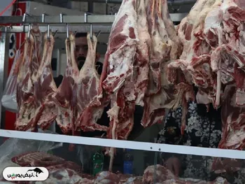 قیمت گوشت امروز ۸ آذر ۱۴۰۴