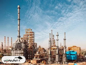 کاهش تخفیف نرخ خوراک زمستان ۱۴۰۲ برای شبریز و شراز | تخفیف سال ۱۴۰۳ چه خواهد شد؟