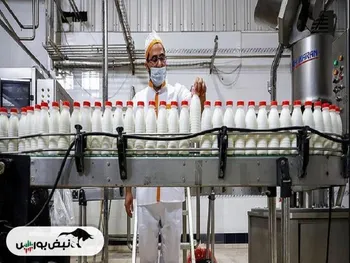 قیمت شیر در سامانه کدال شفاف‌سازی شد