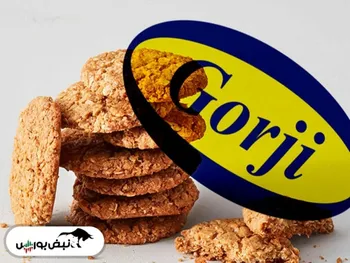 مجمع غگرجی | افزایش سرمایه غگرجی چه شد؟