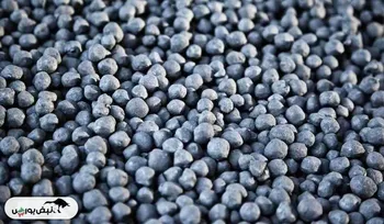 عرضه گندله سنگ آهن